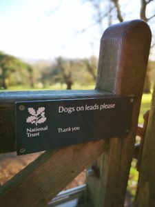 National Trust Dog Friendly Walks