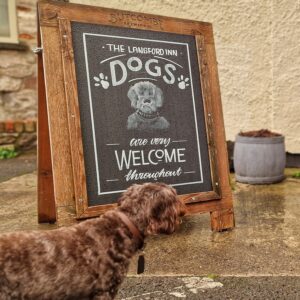 Dogs Welcome at the Langford Inn