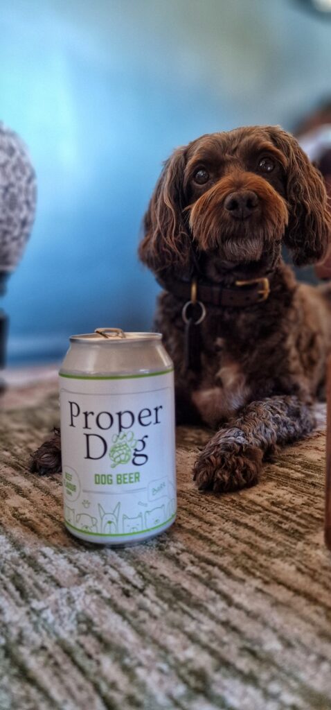 Dog with St Austell Brewery Beer
