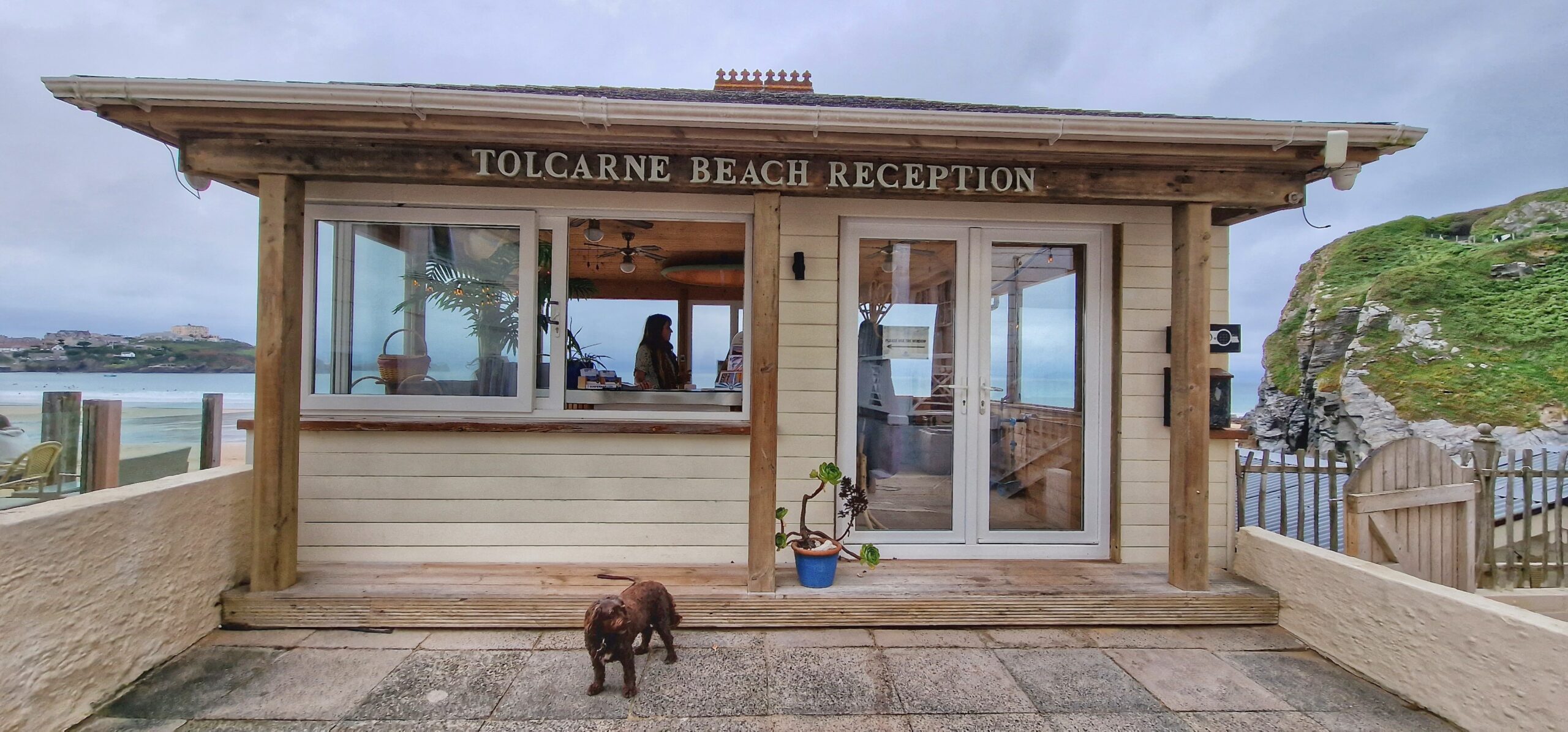 dog at reception of Tolcarne Beach Village