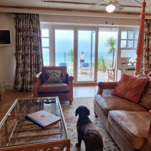 Dog in room at Tolcarne Beach Village Newquay