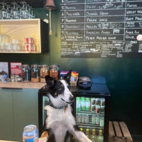 Bluntrock Brewery - Dog Bartender